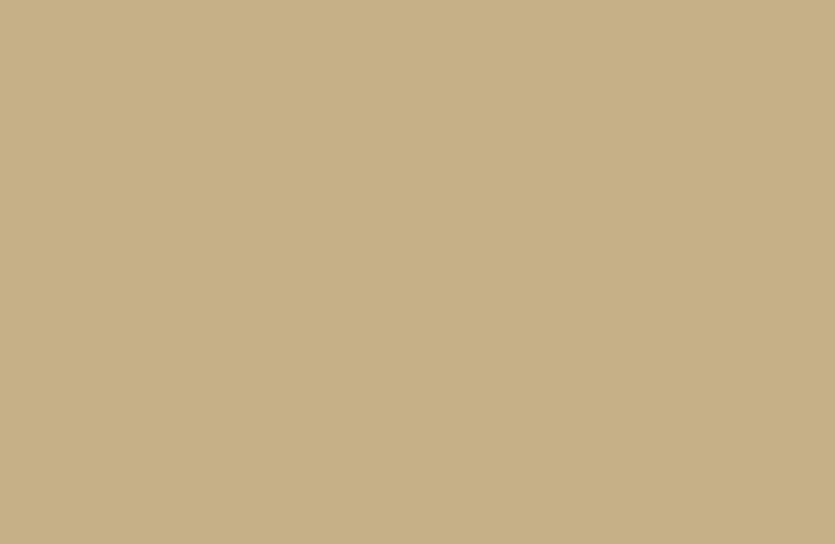 RAL-1001 Beige