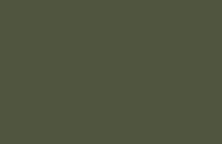 RAL-6003 Olive